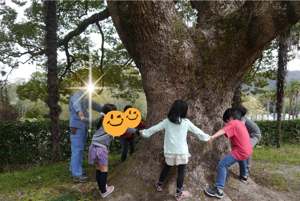 f:id:kitatomirai:20190326115100p:image