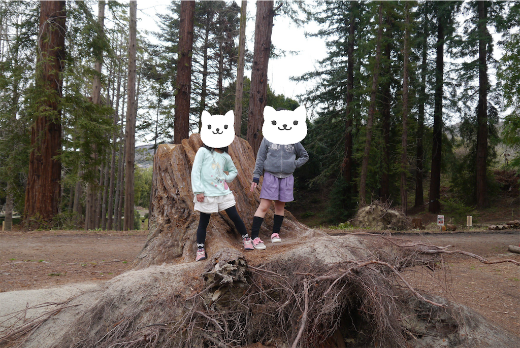 f:id:kitatomirai:20190326115136p:image