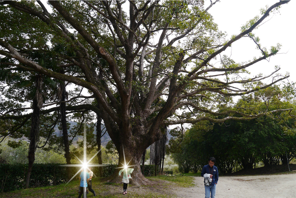 f:id:kitatomirai:20190326124412p:image