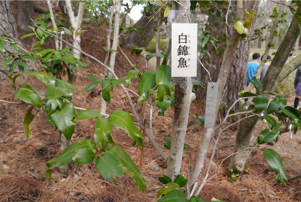 f:id:kitatomirai:20190326162640j:image