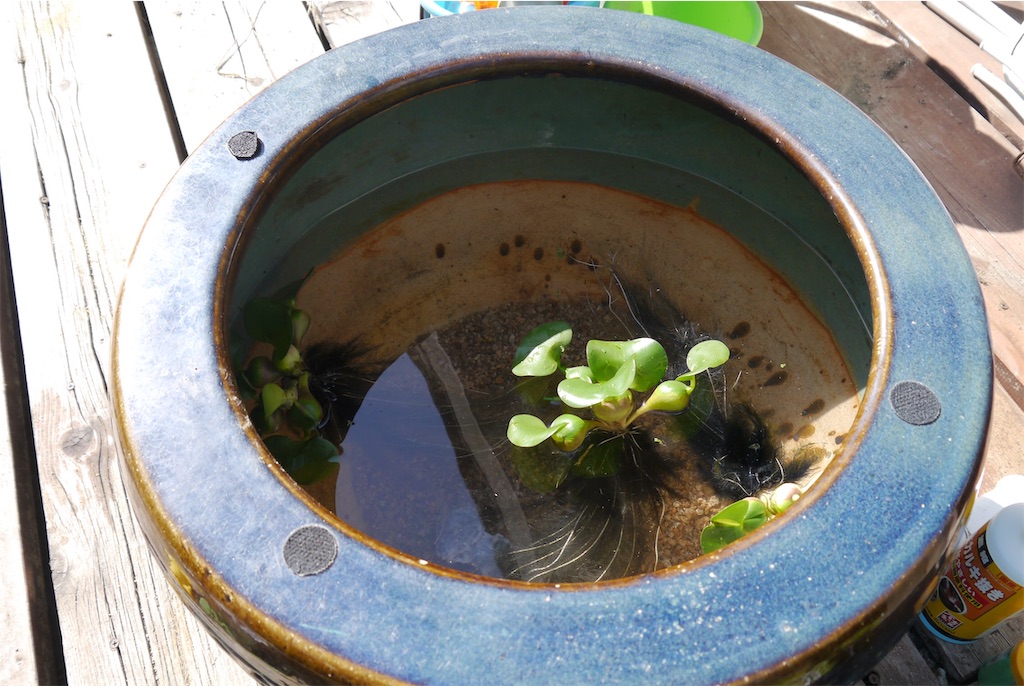 f:id:kitatomirai:20190423103031j:image f:id:kitatomirai:20190423103031j:image