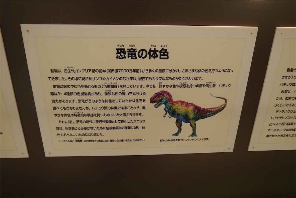 f:id:kitatomirai:20200213142645j:image
