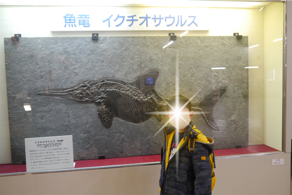 f:id:kitatomirai:20200213142650p:image