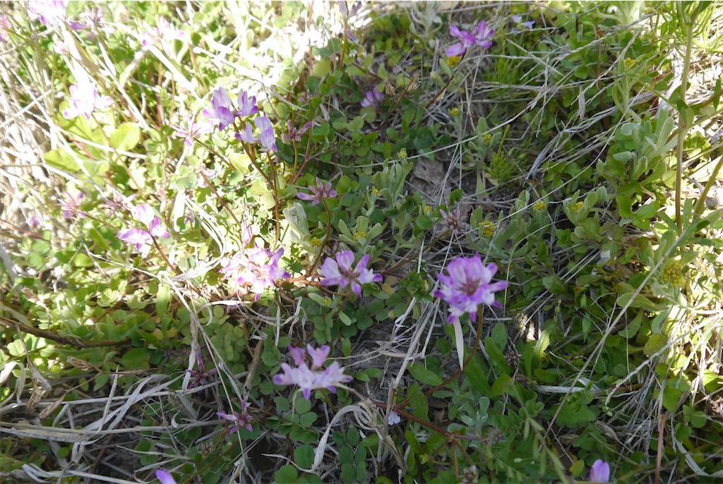 f:id:kitatomirai:20200329232521j:image f:id:kitatomirai:20200329232521j:image