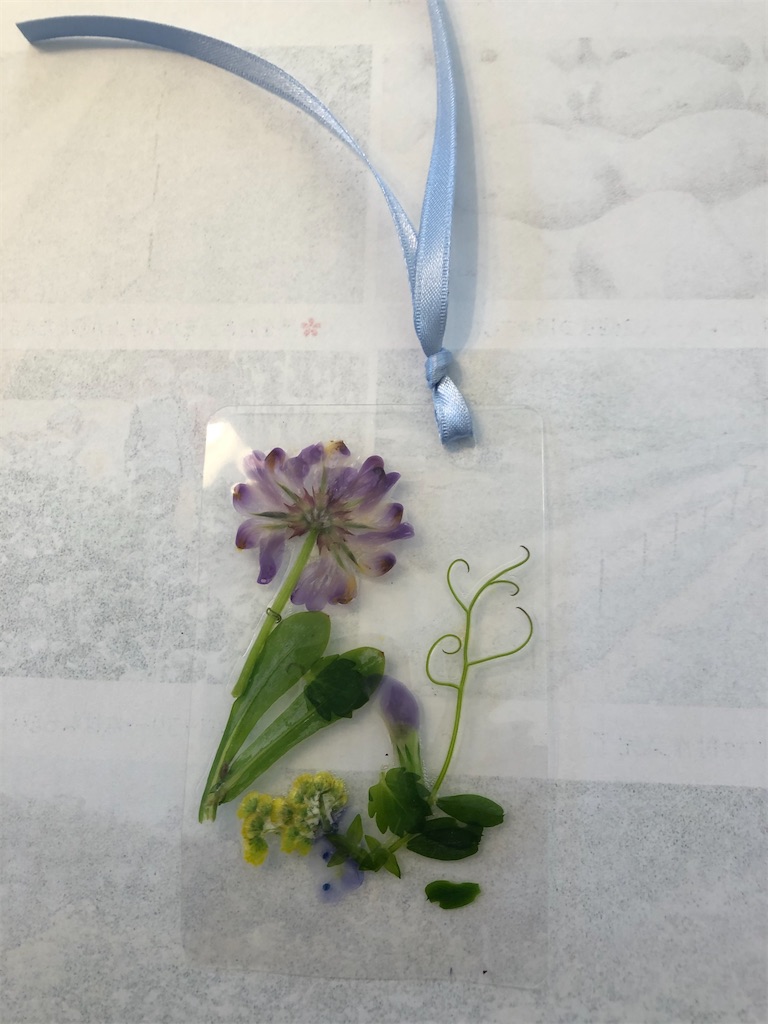 f:id:kitatomirai:20200329232725j:image f:id:kitatomirai:20200329232725j:image