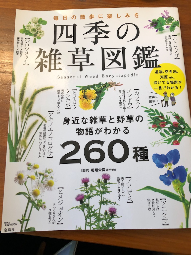 f:id:kitatomirai:20200330131112j:image f:id:kitatomirai:20200330131112j:image