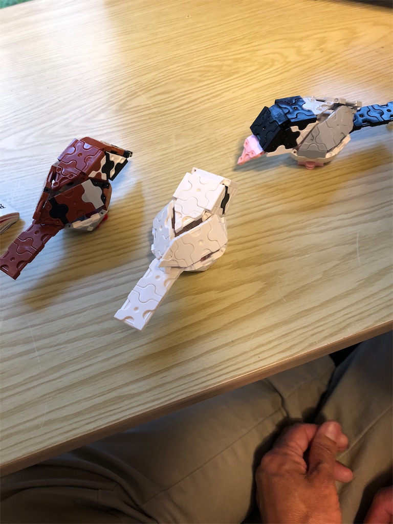 f:id:kitatomirai:20210518164807j:image