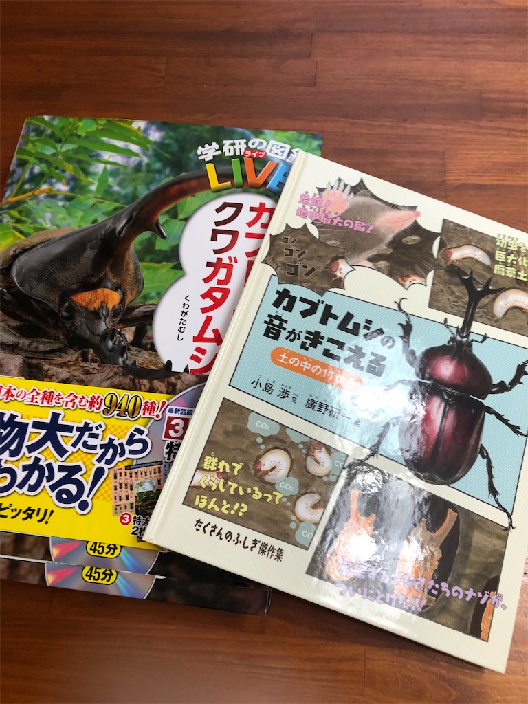 f:id:kitatomirai:20210721192002j:image f:id:kitatomirai:20210721192002j:image