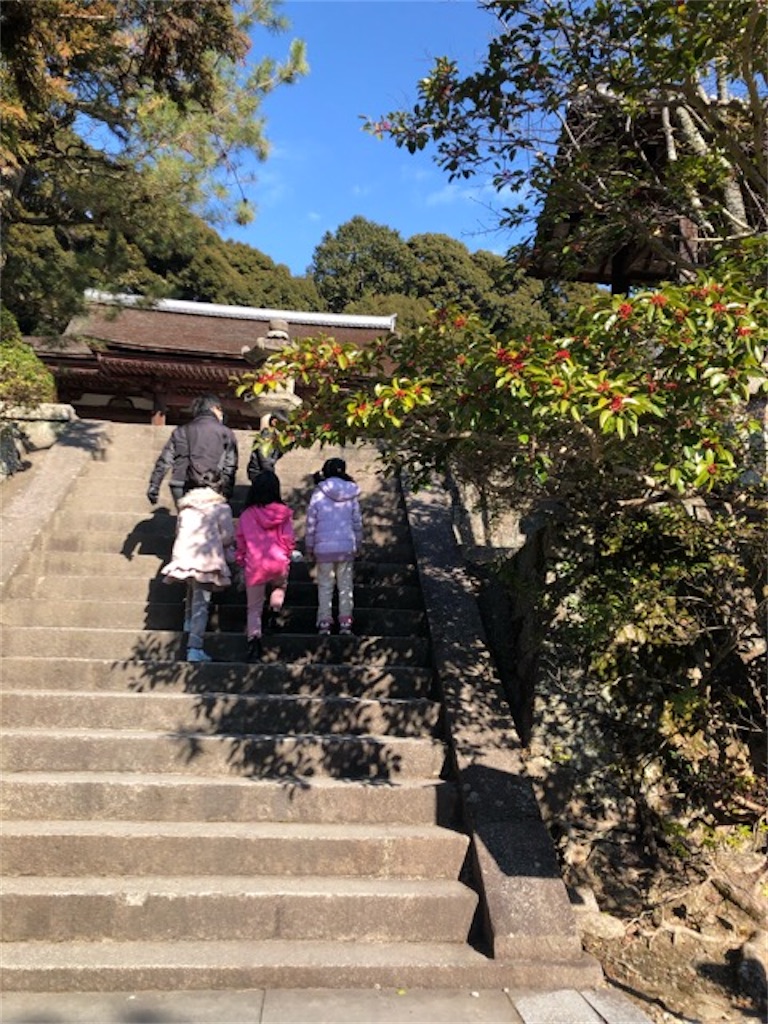 f:id:kitatomirai:20220107134944j:image f:id:kitatomirai:20220107134944j:image