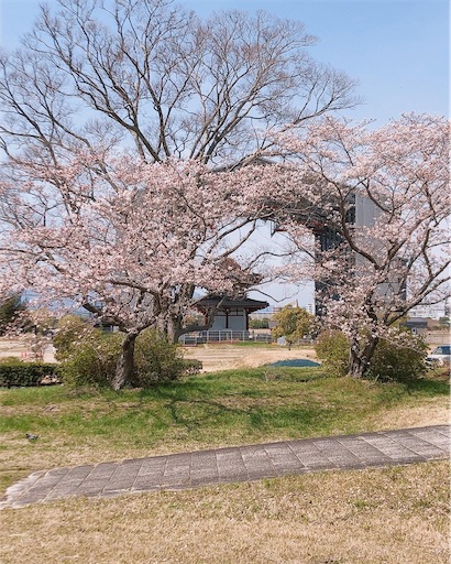 f:id:kitatomirai:20220418153836j:image f:id:kitatomirai:20220418153836j:image