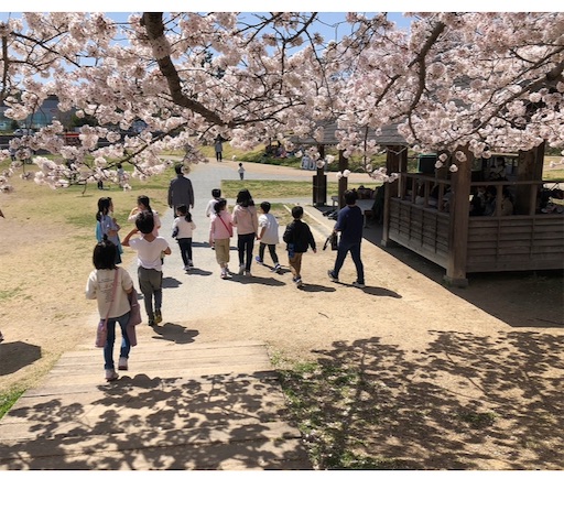 f:id:kitatomirai:20230310094642j:image