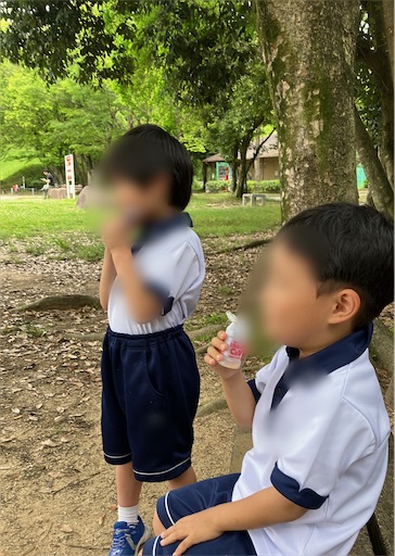 f:id:kitatomirai:20240617111119j:image