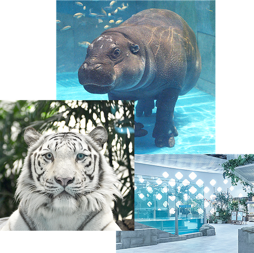 f:id:kitatomirai:20260228221851p:image