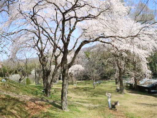 f:id:kitatomirai:20260228222335j:image