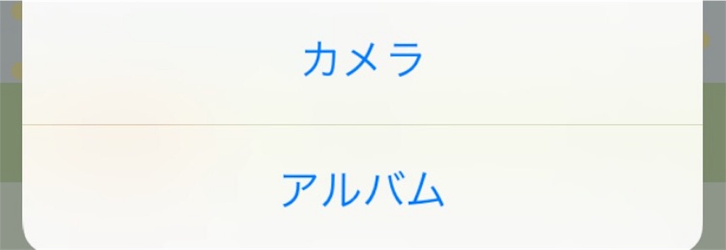 f:id:kitayama_eriko:20170811214543j:image f:id:kitayama_eriko:20170811214543j:image