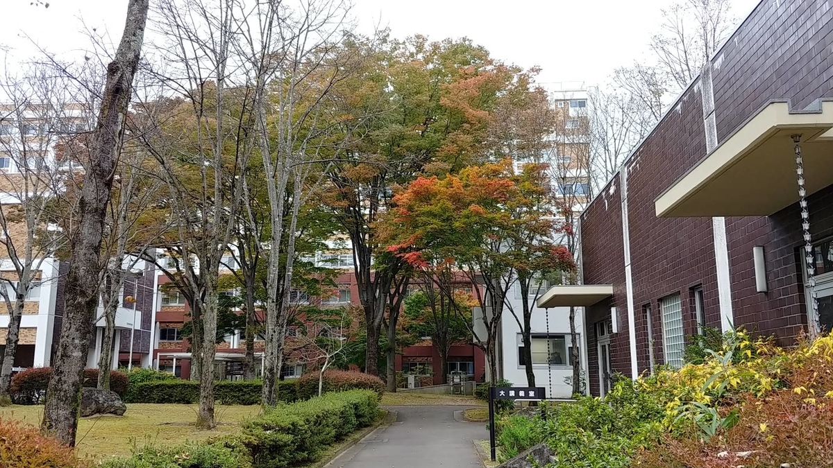 f:id:kitchen_LV:20201106203005j:plain