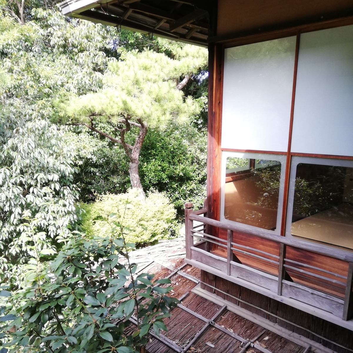 f:id:kitchenfudo:20191002132016j:plain