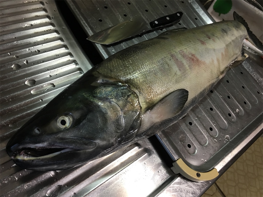 f:id:kitchenlabo_A-kun:20200420180541j:image