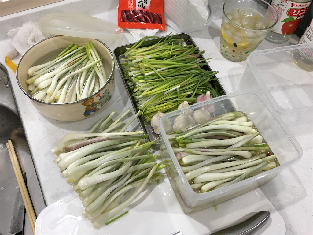 f:id:kitchenlabo_A-kun:20200425064527j:image