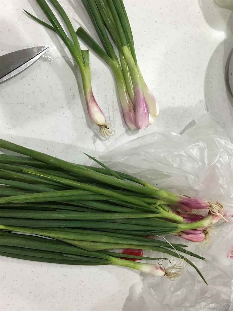 f:id:kitchenlabo_A-kun:20200425064536j:image