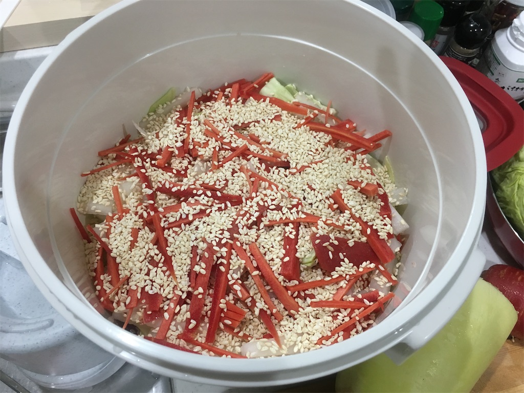 f:id:kitchenlabo_A-kun:20200529130532j:image