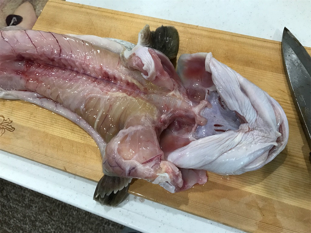 ババアと呼ばれる深海魚を捌いて食べる タナカゲンゲ 様々な料理をつくるキッチン内の実験室 キッチンラボ