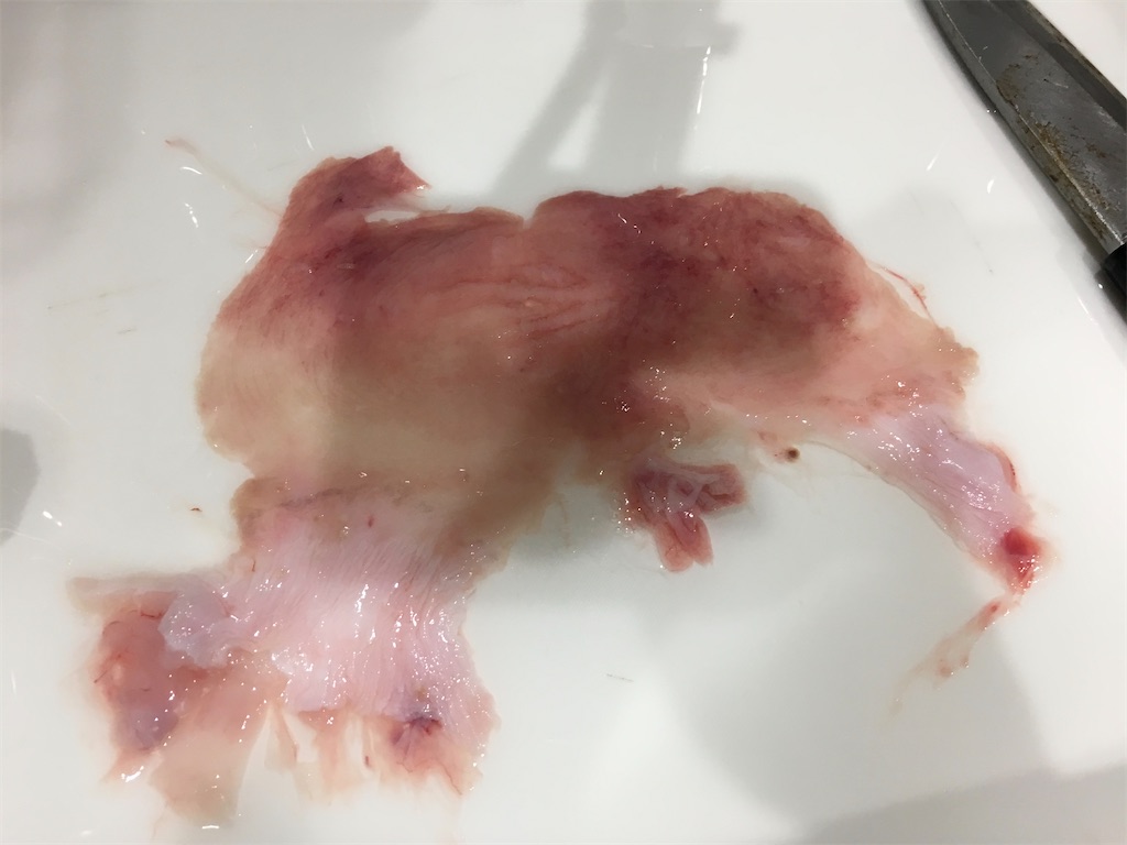 f:id:kitchenlabo_A-kun:20200529134313j:image