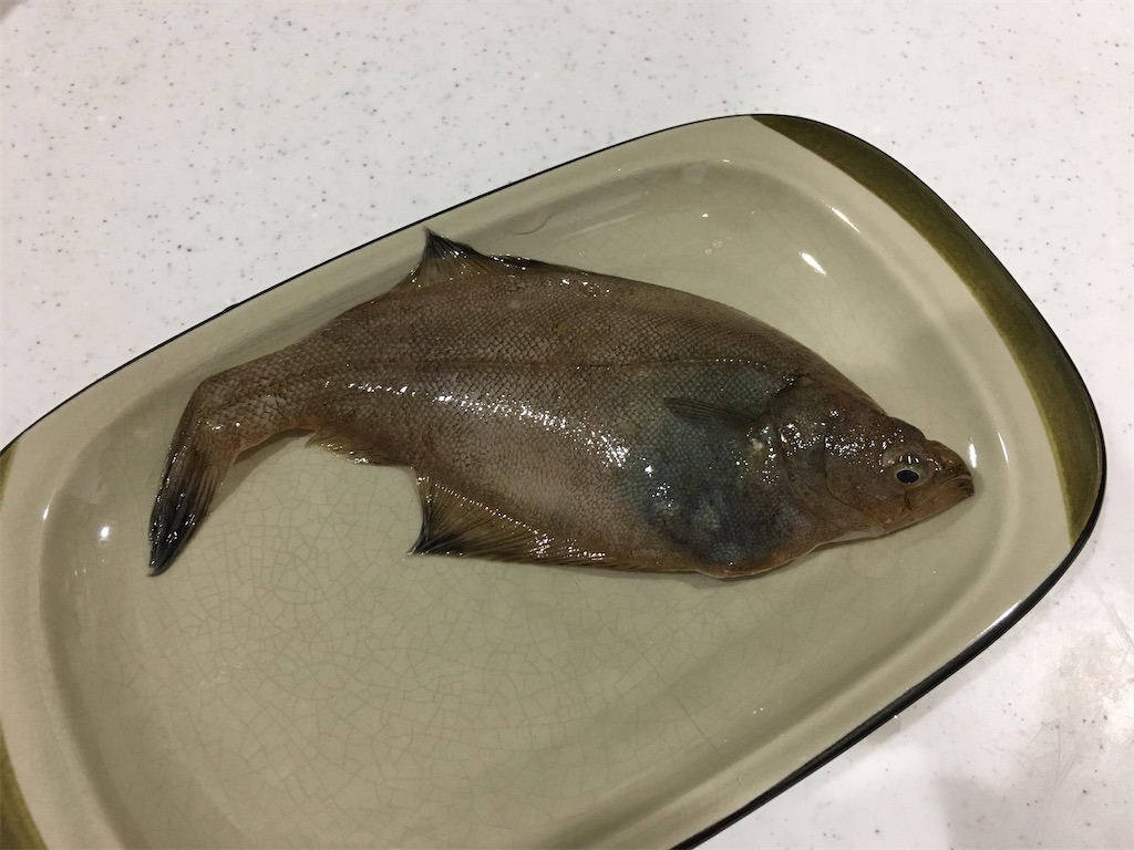 f:id:kitchenlabo_A-kun:20200529134344j:image