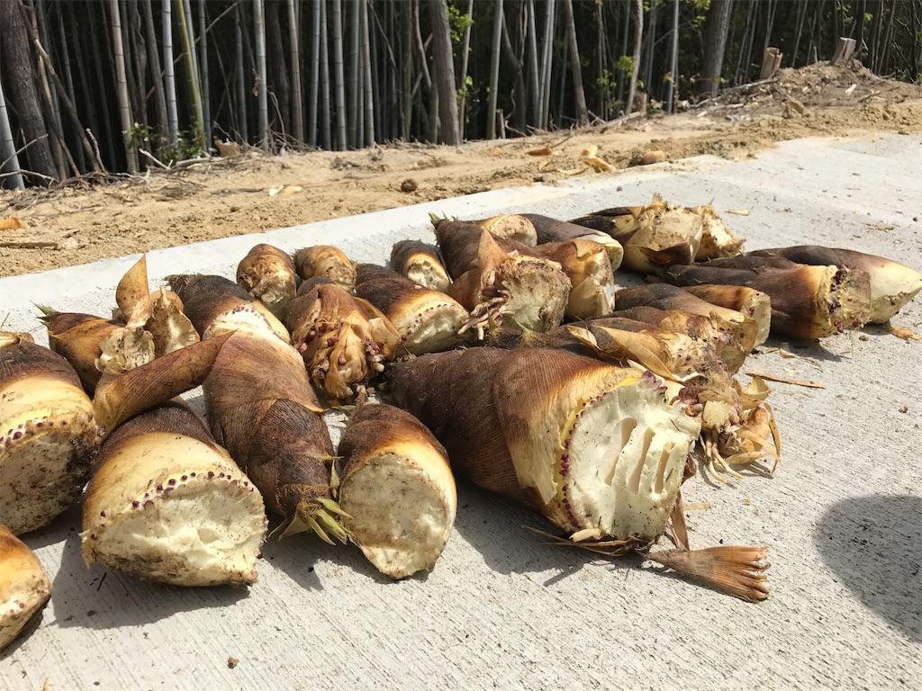 f:id:kitchenlabo_A-kun:20200529135753j:image