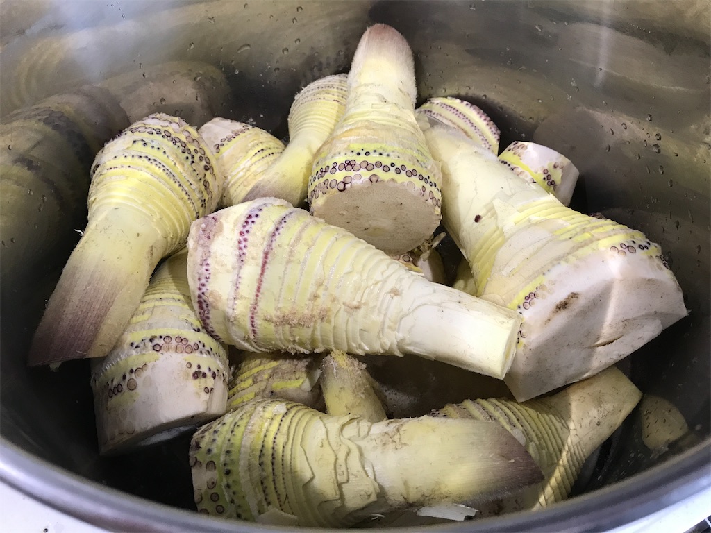 f:id:kitchenlabo_A-kun:20200529135757j:image