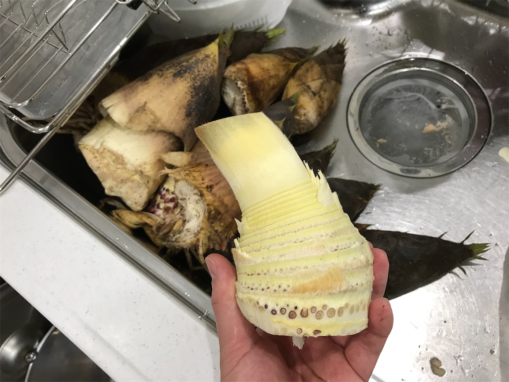 f:id:kitchenlabo_A-kun:20200529135808j:image