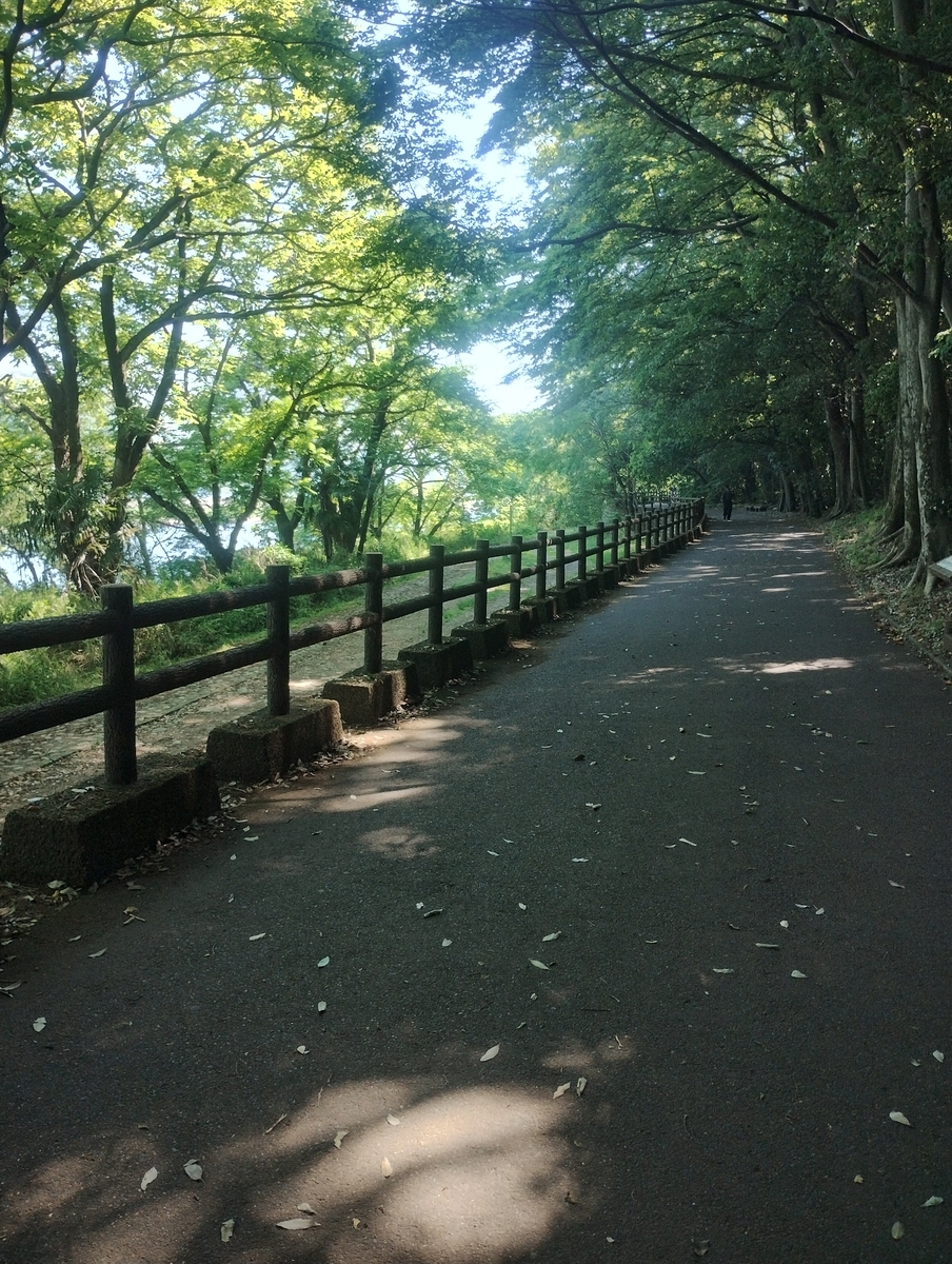 木曽川沿いのウォーキングコースの写真
