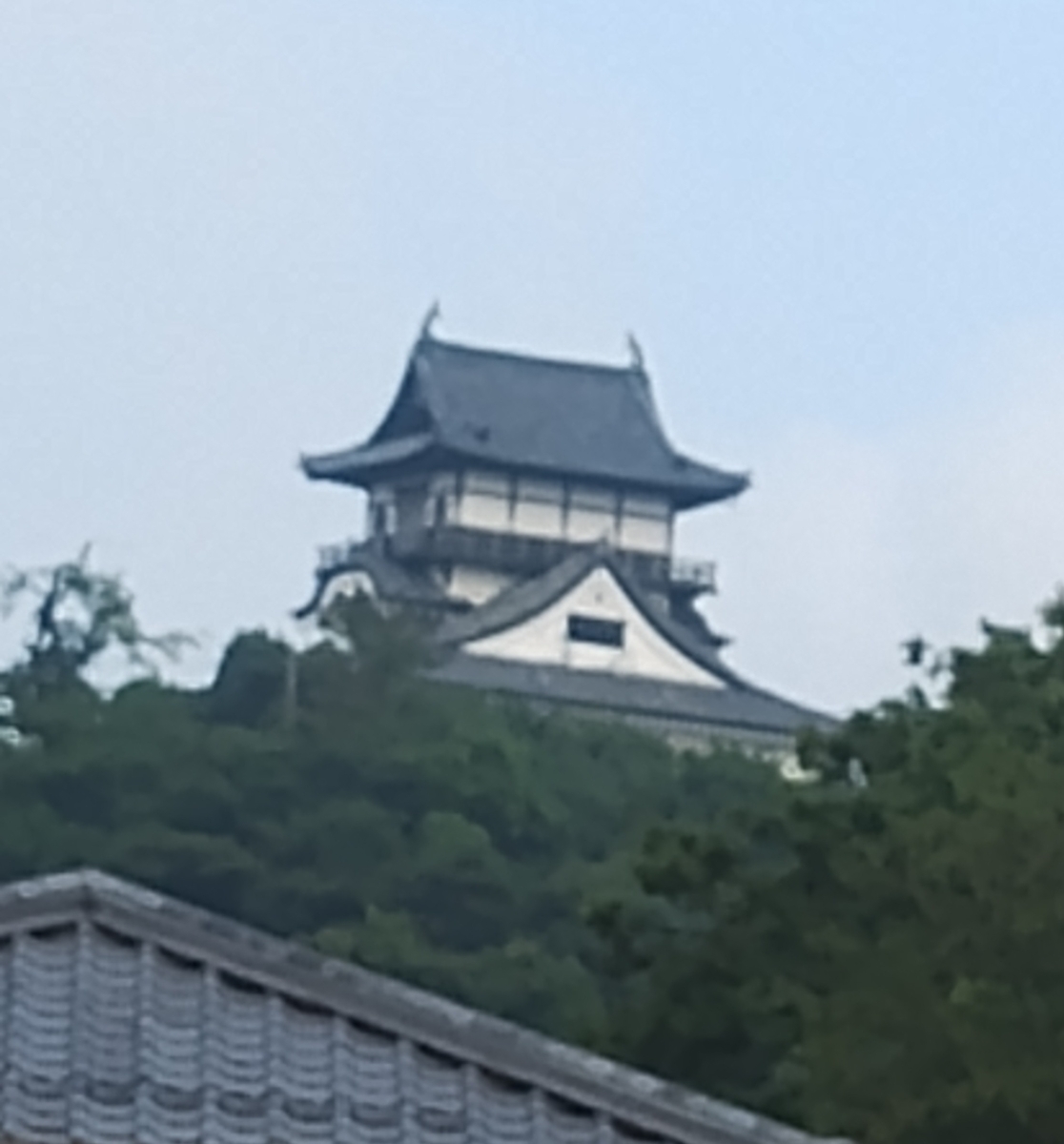 犬山城の天守閣を遠くから撮影。白い壁と黒い瓦屋根が特徴の日本最古の現存天守。