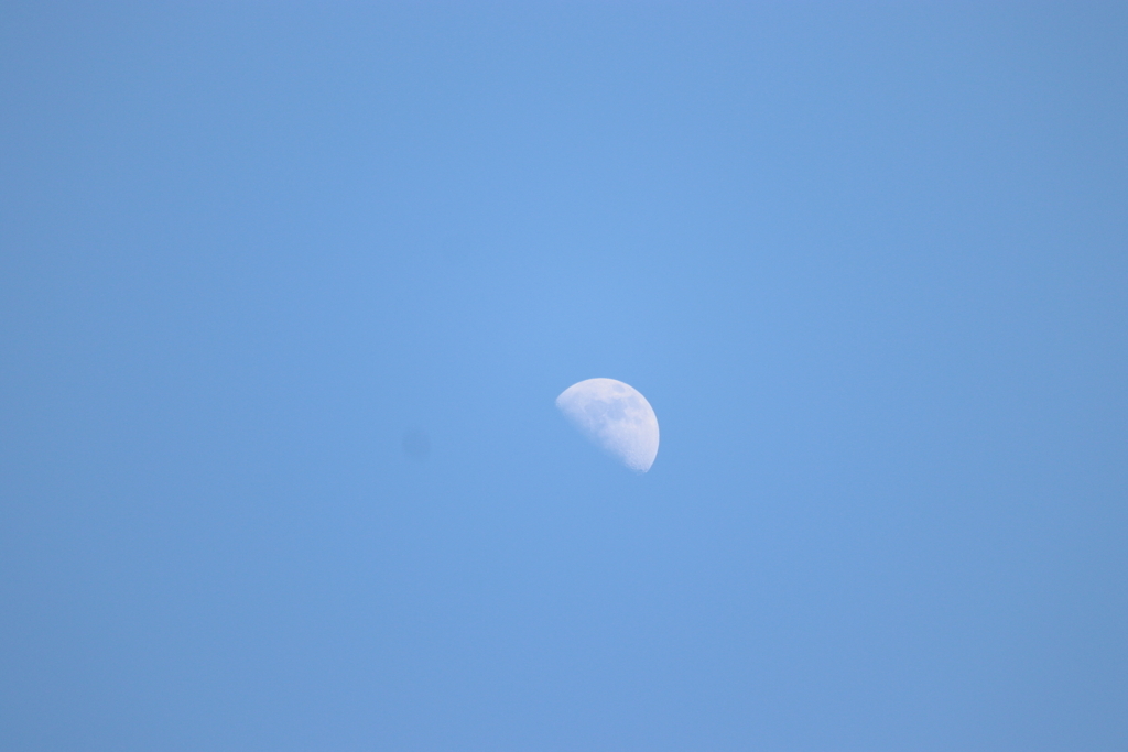 f:id:kitchenobake:20180513111752j:plain f:id:kitchenobake:20180513111752j:plain