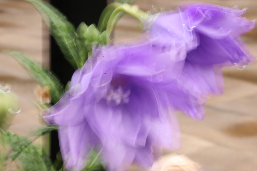 f:id:kitchenobake:20180916072755j:plain