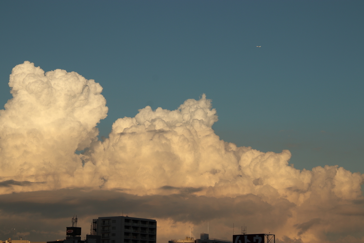 f:id:kitchenobake:20190907095836j:plain