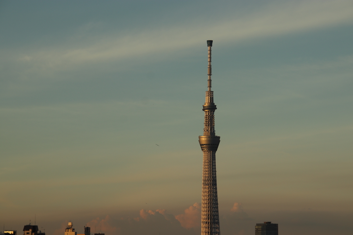 f:id:kitchenobake:20190907095947j:plain