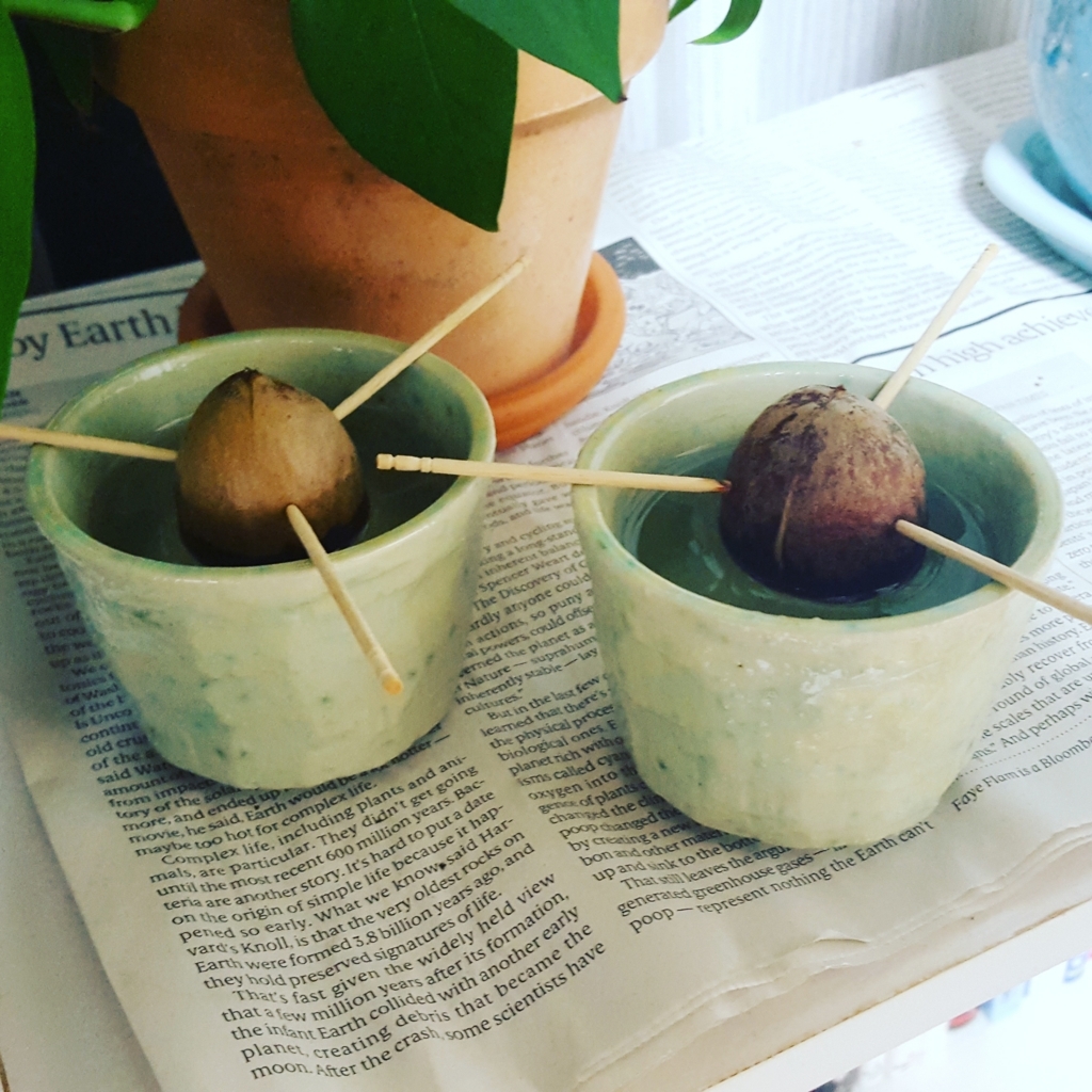 f:id:kitchensciencelab:20170909223539j:plain f:id:kitchensciencelab:20170909223539j:plain