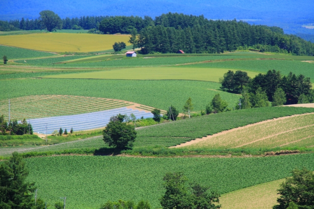 f:id:kite-cafe:20190222072331j:plain