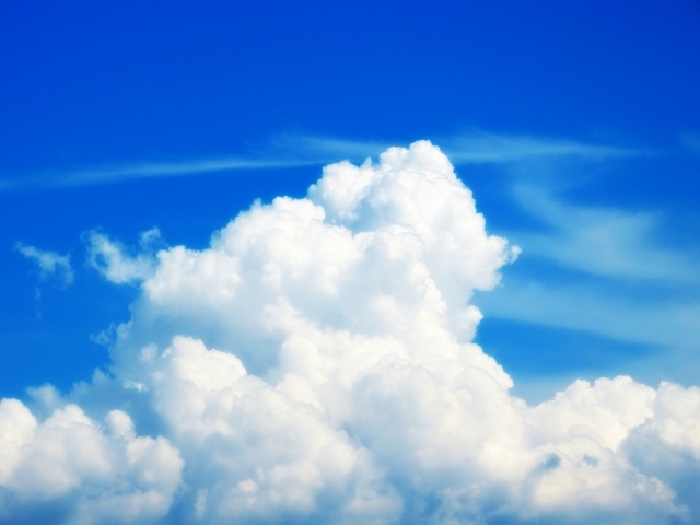 f:id:kite-cafe:20201126095745j:plain