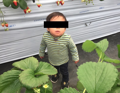 f:id:kite-cafe:20210423075011j:plain