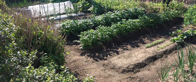 f:id:kite-cafe:20210524072715j:plain