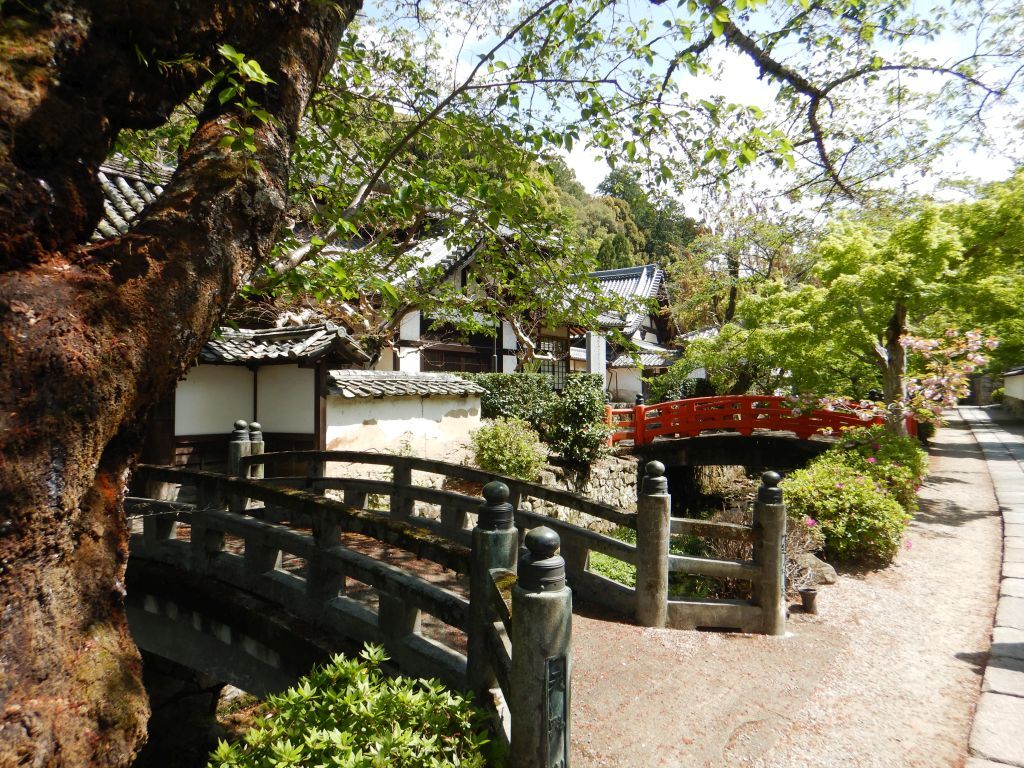 金剛寺2