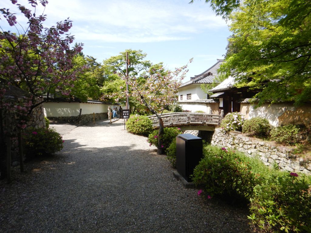 金剛寺4