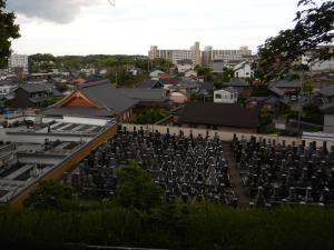 大高城から望む