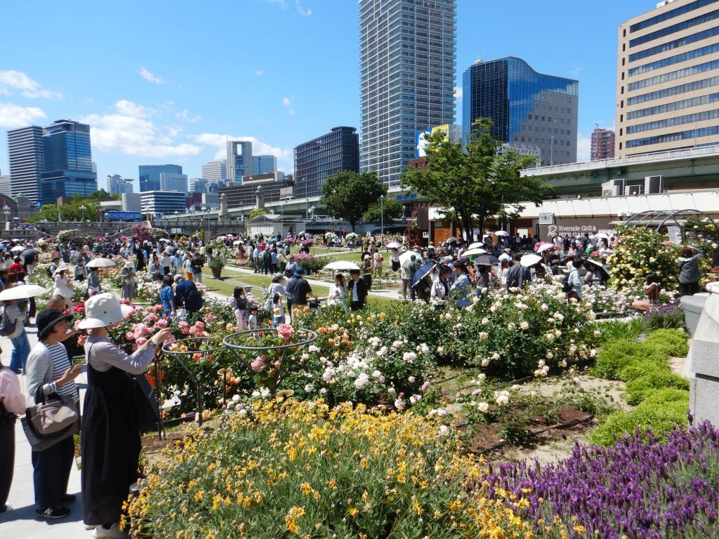 中之島バラ園
