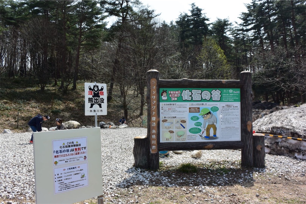 f:id:kiteretunobi:20180402184159j:image f:id:kiteretunobi:20180402184159j:image