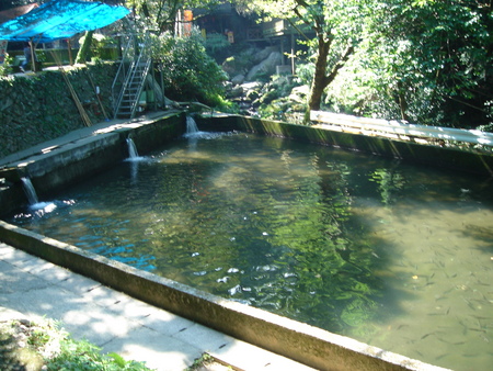 f:id:kitiku:20070817092833j:image f:id:kitiku:20070817092833j:image