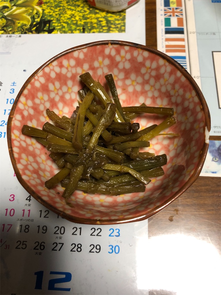 f:id:kitina:20210522200916j:image