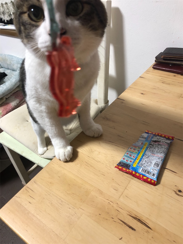 f:id:kitina:20230714212835j:image